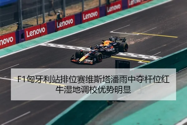xiong-ya-li-zhan-pai-wei-sai-wei-si-ta-pan-yu-zhong-duo-gan-wei-hong-niu-shi-di-diao-xiao-you-shi-ming-xian-3-552.jpg
