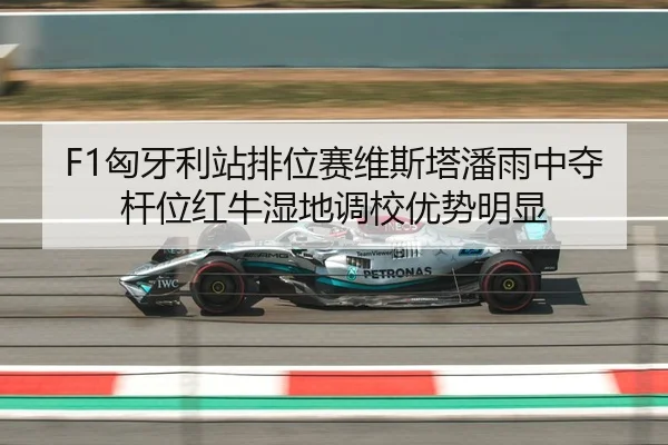 F1匈牙利站排位赛维斯塔潘雨中夺杆位红牛湿地调校优势明显