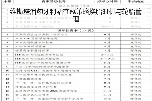 维斯塔潘匈牙利站夺冠策略换胎时机与轮胎管理