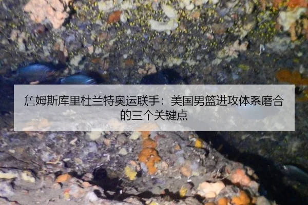 zhan-mu-si-ku-li-du-lan-te-ao-yun-lian-shou-mei-guo-nan-lan-jin-gong-ti-xi-mo-he-de-san-ge-guan-jian-dian-2-862.jpg