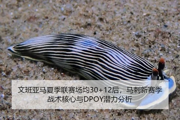 wen-ban-ya-ma-xia-ji-lian-sai-chang-jun-hou-ma-ci-xin-sai-ji-zhan-shu-he-xin-yu-qian-li-fen-xi-2-595.jpg
